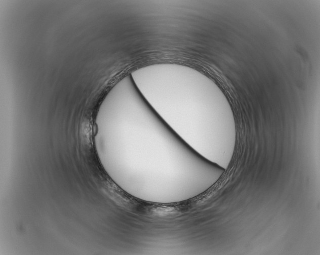 X0000115690669200911121009