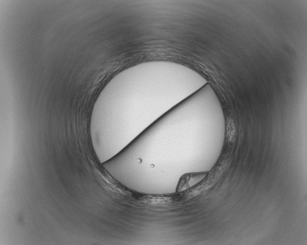 X0000115690670200911121009