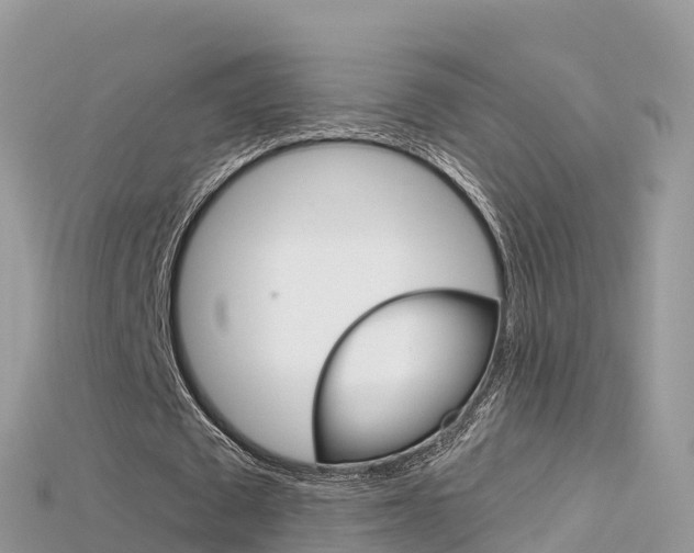 X0000115690673200911121008
