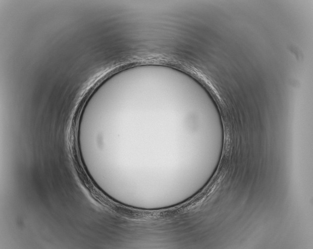 X0000115690674200911121008