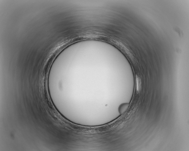 X0000115690675200911121008