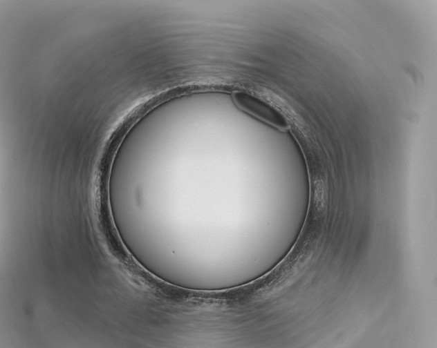 X0000115690676200911121008
