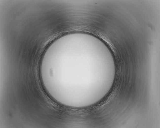 X0000115690681200911121008