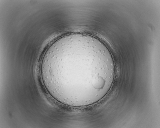 X0000115690682200911121008