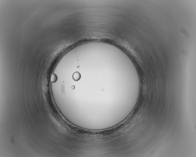 X0000115690683200911121008