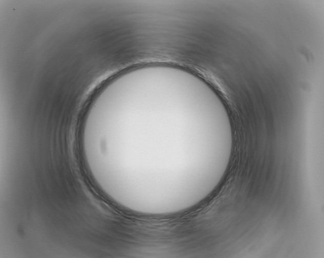 X0000115690684200911121008