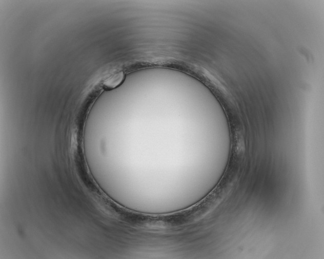 X0000115690685200911121008