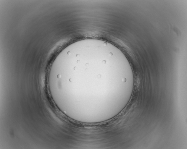 X0000115690686200911121008