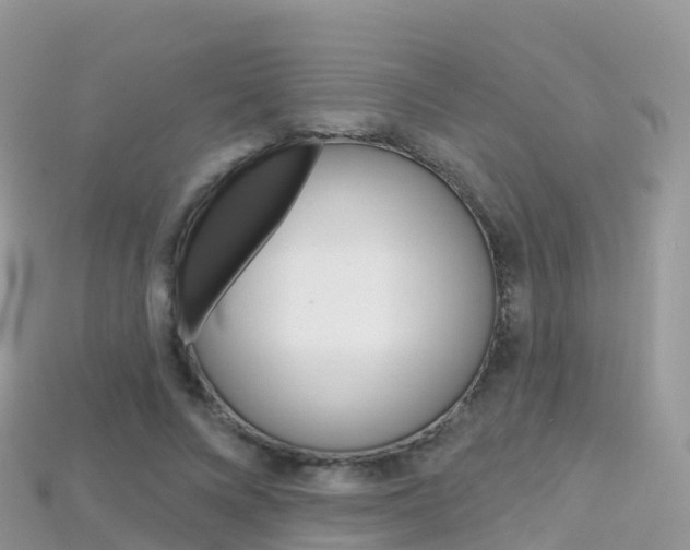 X0000115690688200911121008