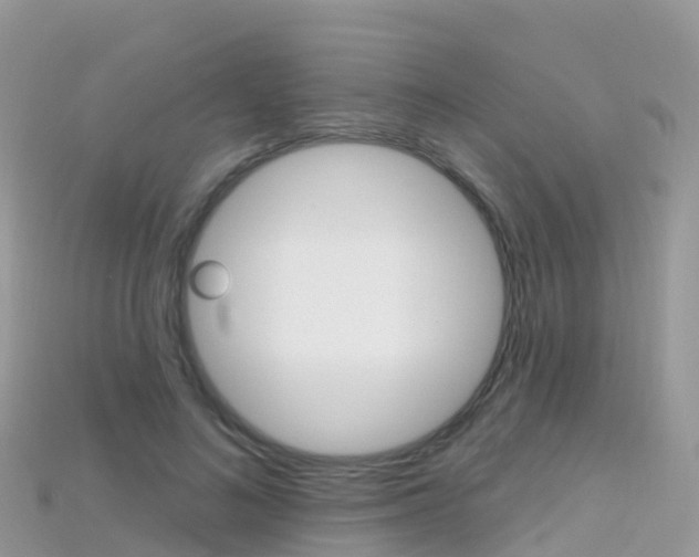 X0000115690692200911121008