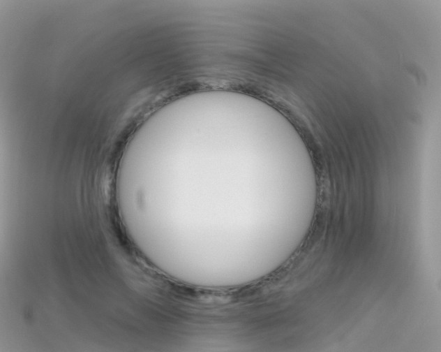 X0000115690694200911121008