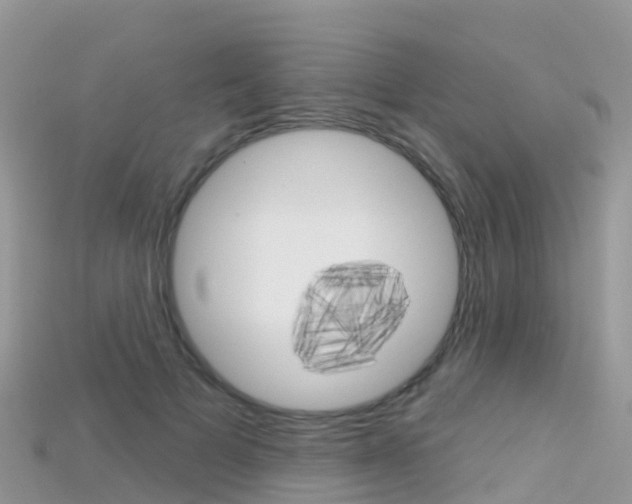 X0000115690697200911121008
