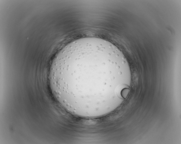 X0000115690698200911121008