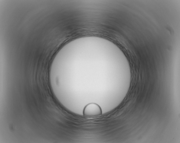 X0000115690700200911121008