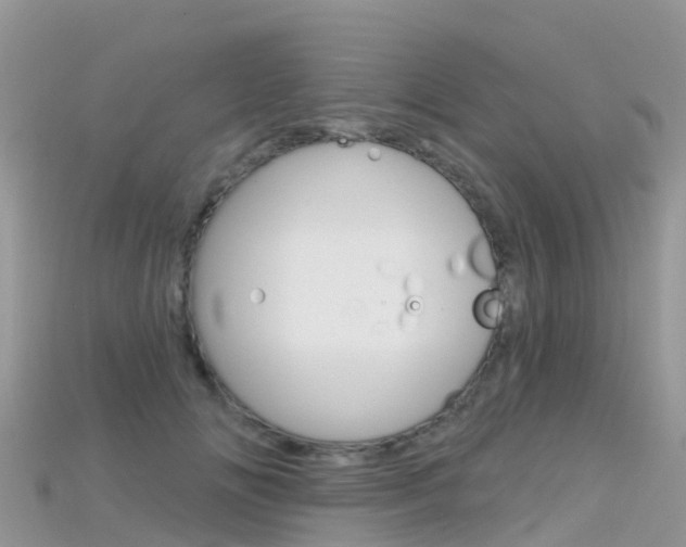 X0000115690702200911121008