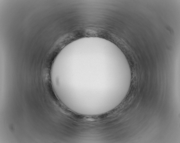 X0000115690706200911121007