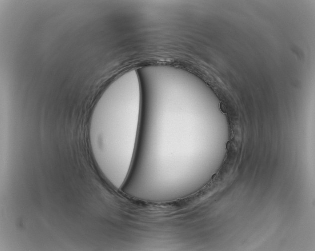 X0000115690707200911121007
