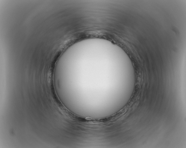 X0000115690708200911121007