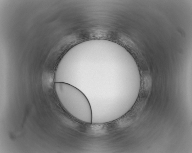 X0000115690709200911121007