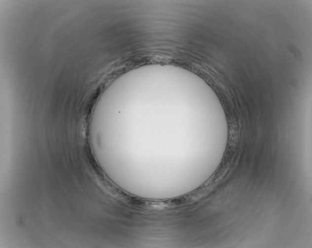 X0000115690710200911121007