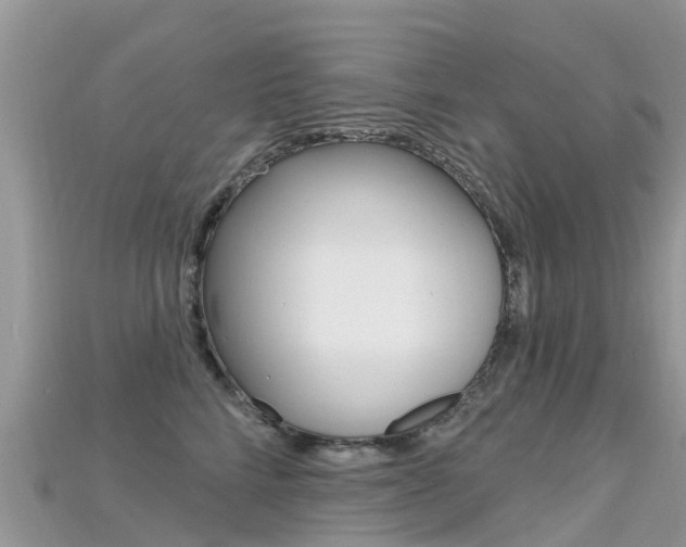 X0000115690712200911121007