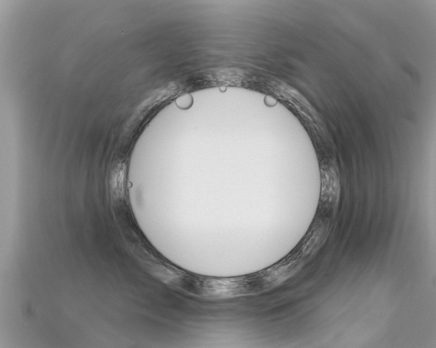 X0000115690717200911121007