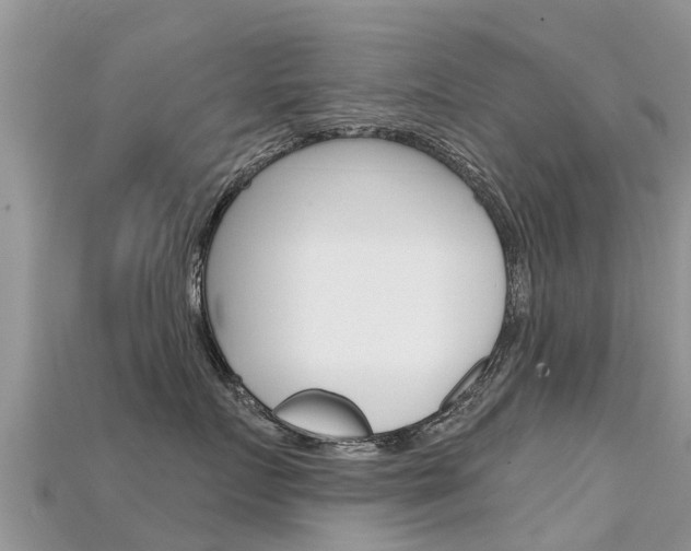 X0000115690719200911121007