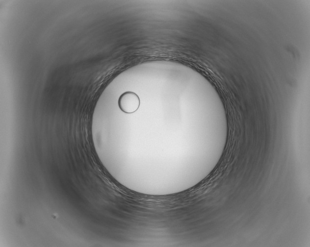 X0000115690720200911121007