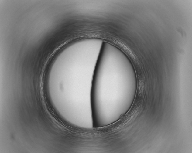 X0000115690722200911121007