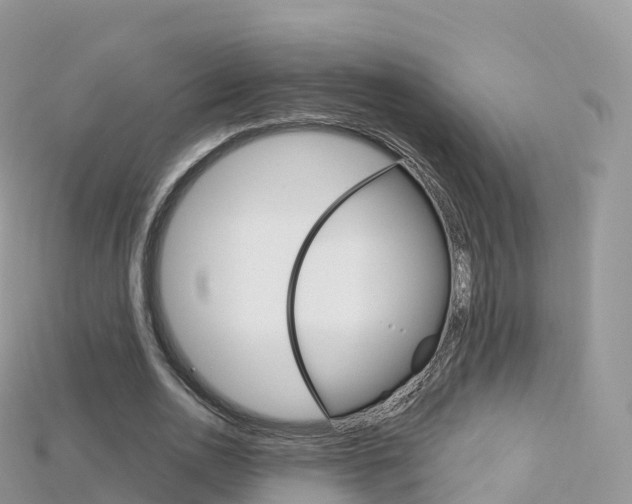 X0000115690726200911121007