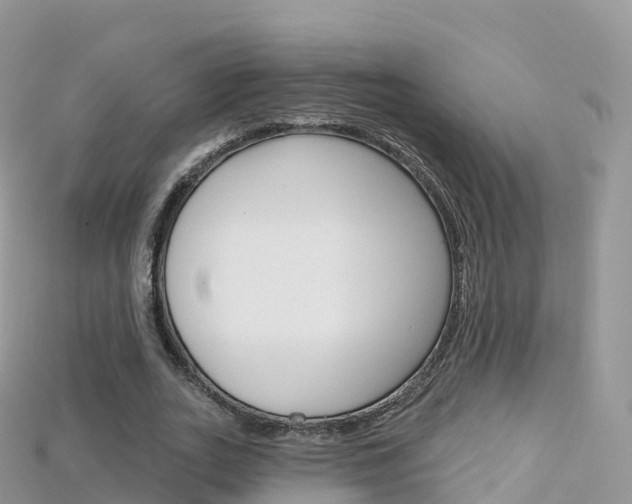 X0000115690727200911121007