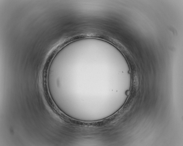 X0000115690730200911121007