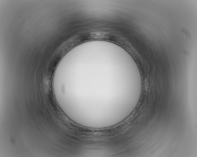 X0000115690741200911121007