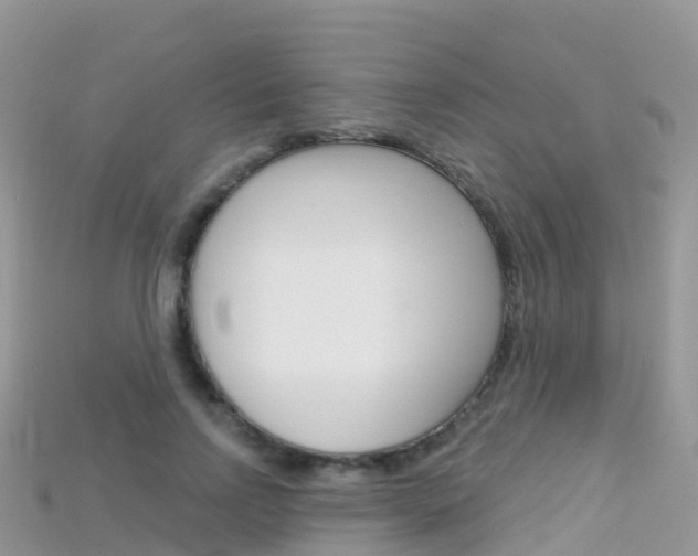 X0000115690742200911121007