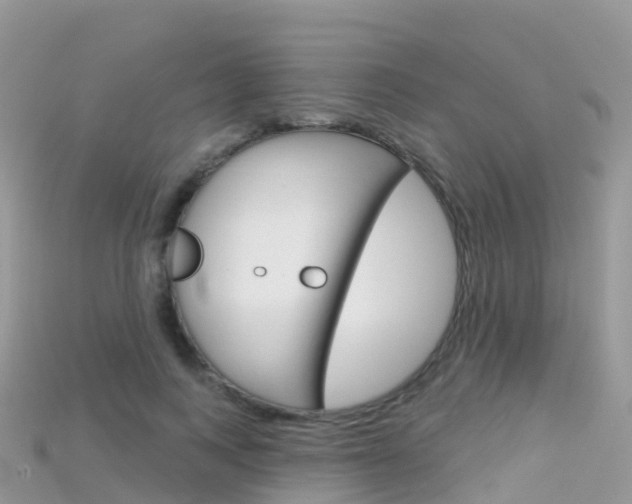 X0000115690743200911121007