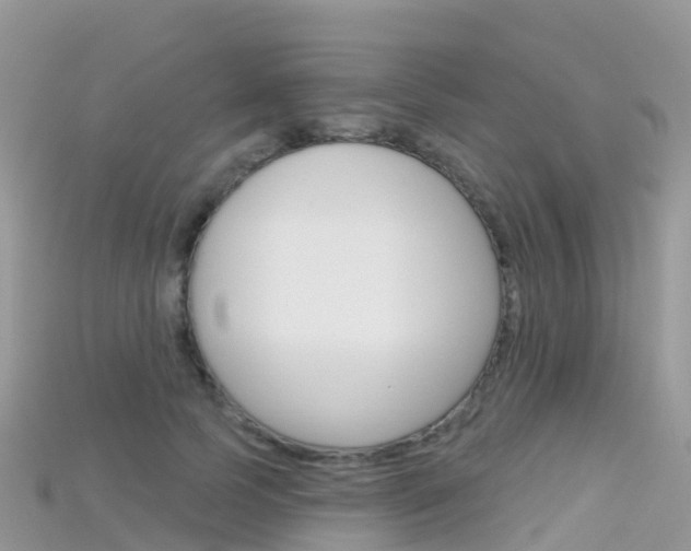 X0000115690745200911121007