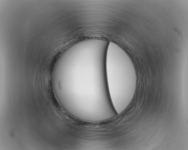 X0000115690747200911121007