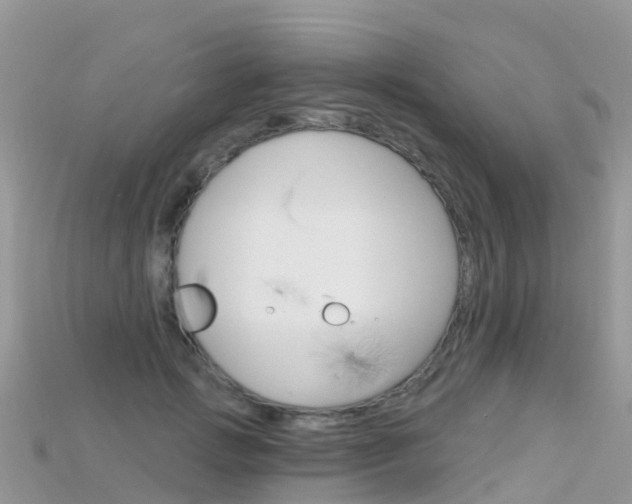 X0000115690749200911121007