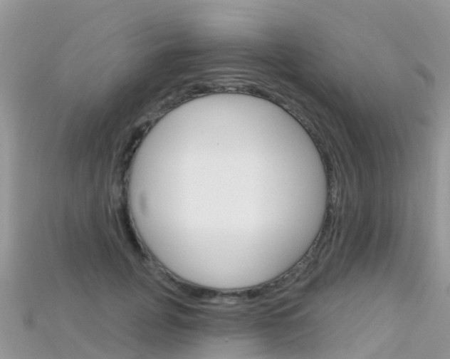 X0000115690751200911121007