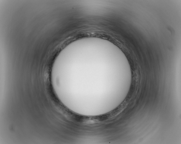 X0000115690754200911121007