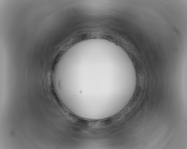 X0000115690757200911121007