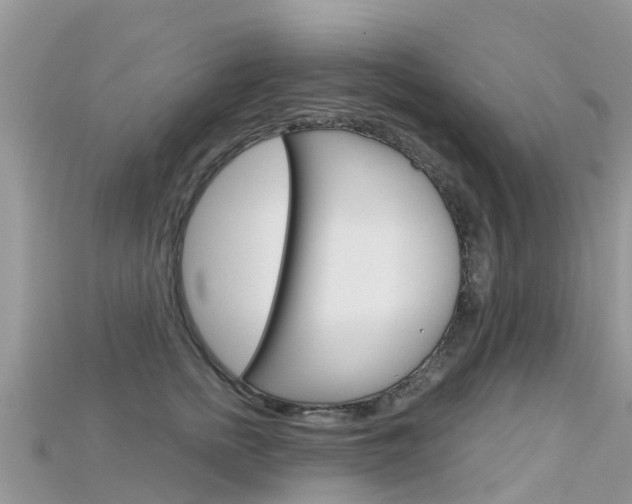 X0000115690758200911121007