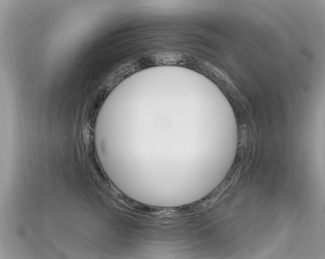 X0000115690761200911121007