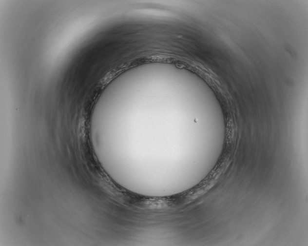 X0000115690762200911121007