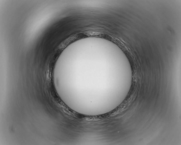 X0000115690763200911121007