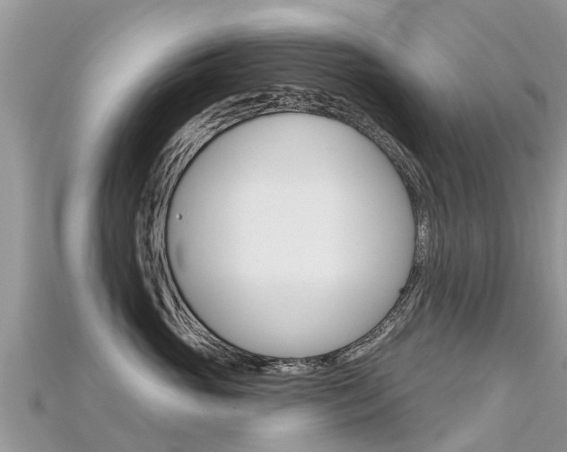 X0000115690765200911121007