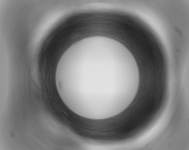 X0000115690766200911121007