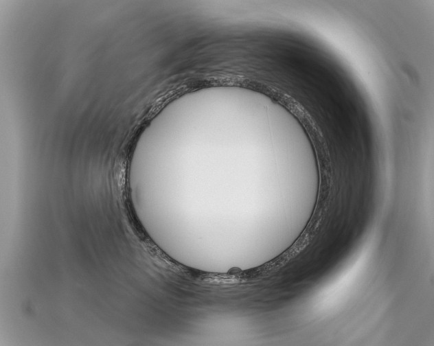 X0000115690767200911121007