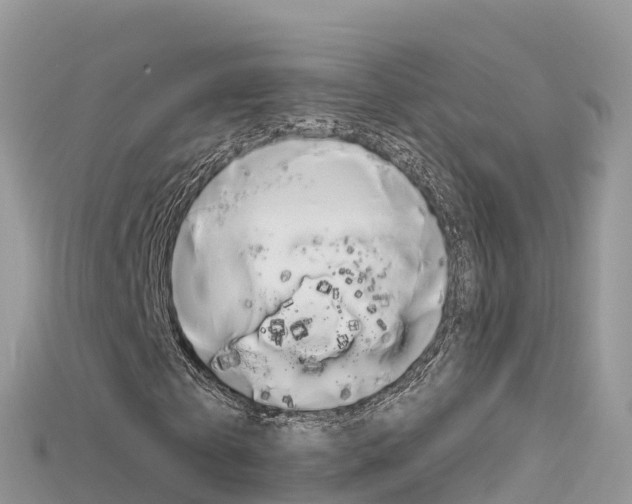 X0000115690769200911121007