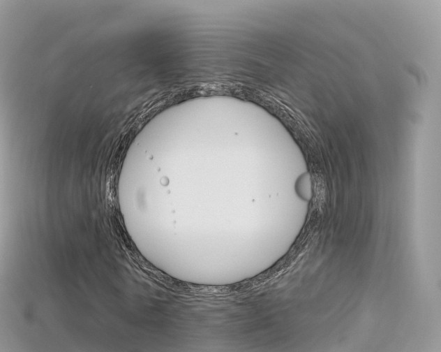 X0000115690770200911121007